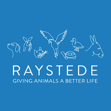 Raystede